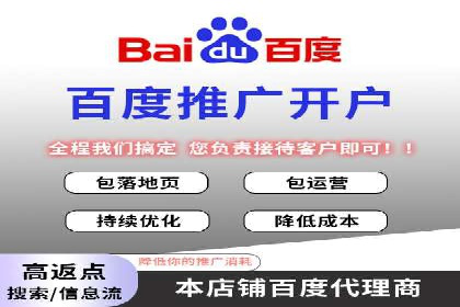 SEM运营公司成功案例解析